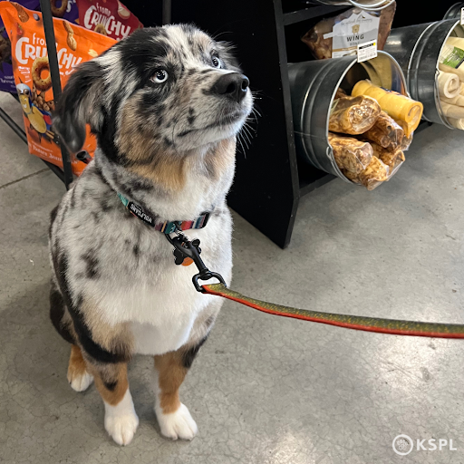 Cabela's - Ratings for Local Pet Rescue & Care Services: 4.1 & 1232 ...