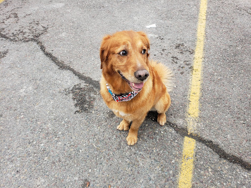 Cabela's - Ratings for Local Pet Rescue & Care Services: 4.1 & 1232 ...