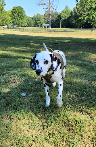 Stuart Nelson Small Dog Park - Ratings for Local Pet Rescue & Care ...