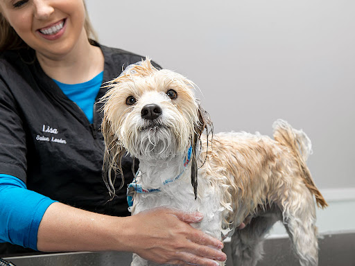 Cabela's - Ratings for Local Pet Rescue & Care Services: 4.1 & 1232 ...
